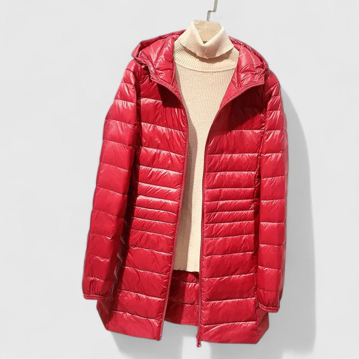 Averlyss | Sophisticated Jacket
